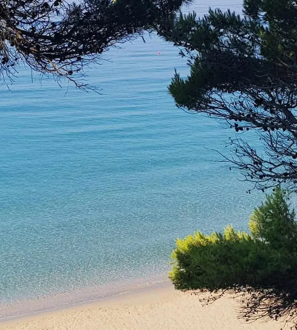 Fiore , 200M From Central Square Argostolion Tatil Evi